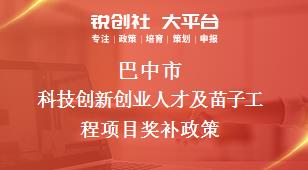 巴中市科技创新创业人才及苗子工程项目奖补政策