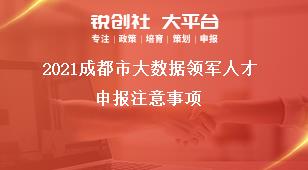 2021成都市大数据领军人才申报注意事项奖补政策