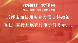 成都市加快服务业发展支持政策项目-支持开展农村电子商务示范建设项目支持标准、申报条件和申报材料奖补政策