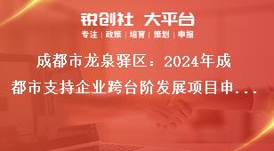 成都市龙泉驿区：2024年成都市支持企业跨台阶发展项目申报流程及资料要求奖补政策