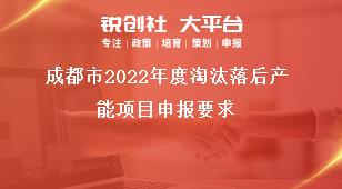 成都市2022年度淘汰落后产能项目申报要求奖补政策