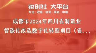 成都市2024年四川省制造业智能化改造数字化转型项目（省级重点项目）征集工作支持范围奖补政策