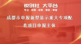 成都市申报新型显示重大专项配套项目申报主体奖补政策