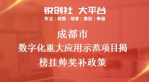 成都市数字化重大应用示范项目揭榜挂帅相关配套奖补政策