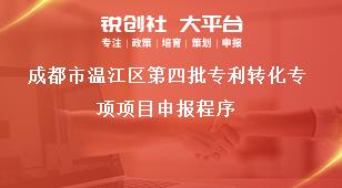 成都市温江区第四批专利转化专项项目申报程序奖补政策