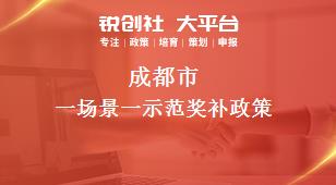 成都市一场景一示范相关配套奖补政策