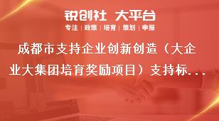 成都市支持企业创新创造（大企业大集团培育奖励项目）支持标准和申报时间条件奖补政策