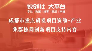 成都市重点研发项目资助-产业集群协同创新项目支持内容奖补政策