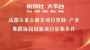 成都市重点研发项目资助-产业集群协同创新项目征集条件奖补政策