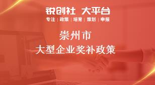 崇州市大型企业奖补政策