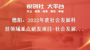 德阳：2022年度社会发展科技领域重点研发项目-社会发展科技领域研究方向奖补政策