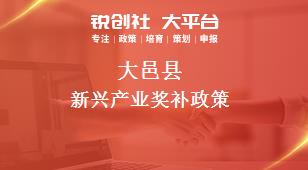 大邑县新兴产业奖补政策