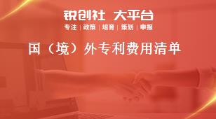 国（境）外专利费用清单奖补政策