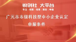 广元市市级科技型中小企业认定申报条件奖补政策