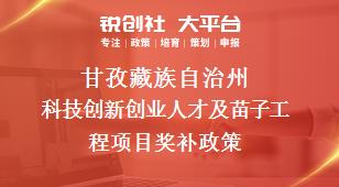 甘孜藏族自治州科技创新创业人才及苗子工程项目奖补政策