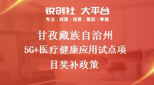 甘孜藏族自治州5G+医疗健康应用试点项目奖补政策