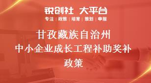 甘孜藏族自治州中小企业成长工程补助奖补政策