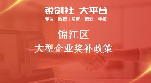 锦江区大型企业奖补政策