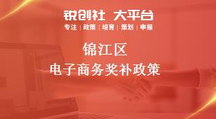 锦江区电子商务奖补政策