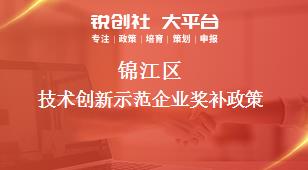 锦江区技术创新示范企业奖补政策