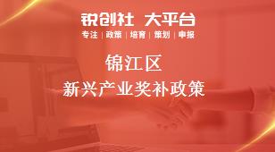 锦江区新兴产业奖补政策