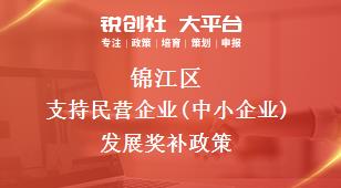 锦江区支持民营企业(中小企业)发展奖补政策