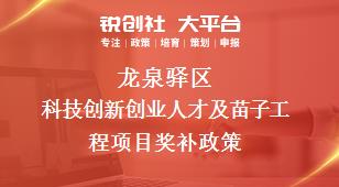 龙泉驿区科技创新创业人才及苗子工程项目奖补政策