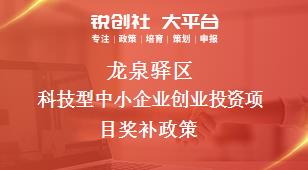 龙泉驿区科技型中小企业创业投资项目奖补政策