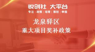 龙泉驿区重大项目奖补政策