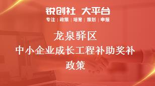 龙泉驿区中小企业成长工程补助奖补政策