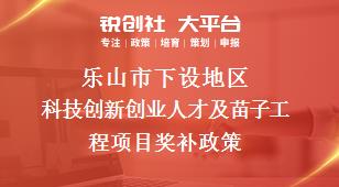 乐山市下设地区科技创新创业人才及苗子工程项目奖补政策