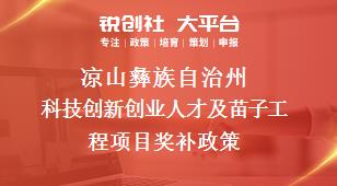 凉山彝族自治州科技创新创业人才及苗子工程项目奖补政策