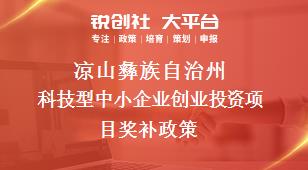 凉山彝族自治州科技型中小企业创业投资项目奖补政策