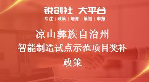 凉山彝族自治州智能制造试点示范项目奖补政策