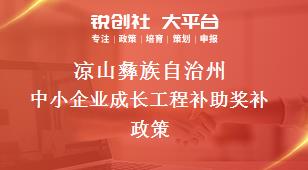 凉山彝族自治州中小企业成长工程补助奖补政策