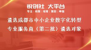 遴选成都市中小企业数字化转型专业服务商（第二批）遴选对象奖补政策