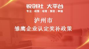 泸州市雏鹰企业认定奖补政策