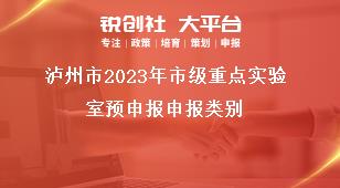 泸州市2023年市级重点实验室预申报申报类别奖补政策