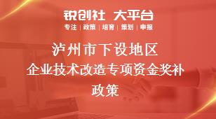 泸州市下设地区企业技术改造专项资金奖补政策