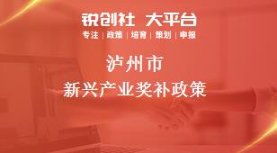 泸州市新兴产业奖补政策