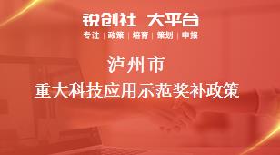 泸州市重大科技应用示范奖补政策