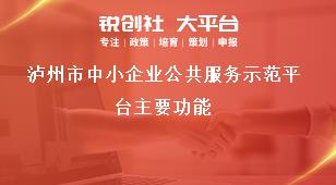 泸州市中小企业公共服务示范平台主要功能奖补政策