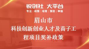 眉山市科技创新创业人才及苗子工程项目奖补政策