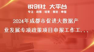 2024年成都市促进大数据产业发展专项政策项目申报工作工作要求奖补政策