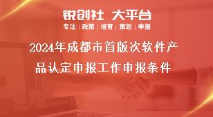 2024年成都市首版次软件产品认定申报工作申报条件奖补政策