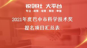 2021年度巴中市科学技术奖提名项目汇总表奖补政策