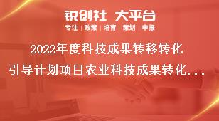 2022年度科技成果转移转化引导计划项目农业科技成果转化资金奖补政策