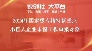 2024年国家级专精特新重点小巨人企业申报工作申报对象奖补政策