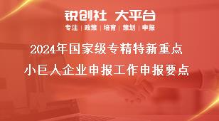 2024年国家级专精特新重点小巨人企业申报工作申报要点奖补政策