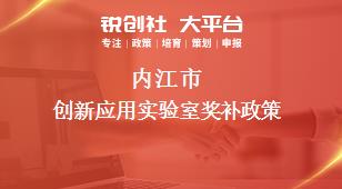 内江市创新应用实验室奖补政策